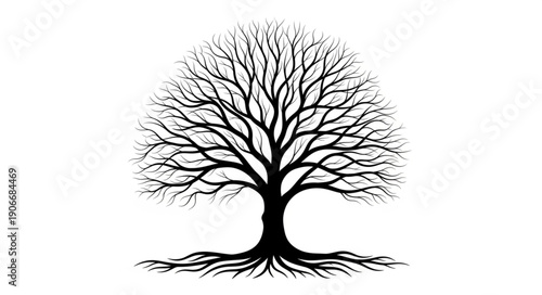 vector illustration of a tree