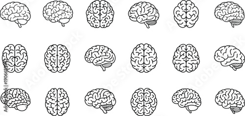Human brain anatomy icon set in multiple views, medical neuroscience illustration collection isolated on light background for education and research