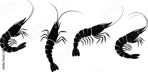 Set of shrimp silhouettes in different poses isolated on white background, seafood crustacean icons in simple vector illustration style