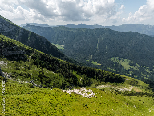 Mountain landscape with sheep grazing on a green hillside under a cloudy sky. Casera Canin,Resia Valley,Julian Alps,Italy