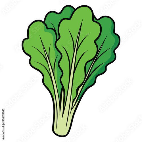 Swiss Chard Vegetable clipart flat design isolated on white background