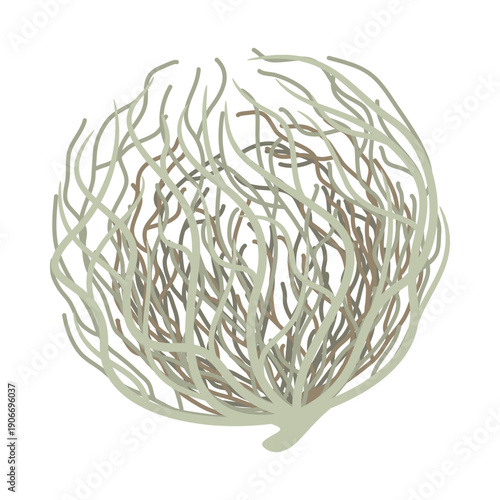 An illustration of a tumbleweed plant, which can be found in arid areas under a scorching sunny sky.