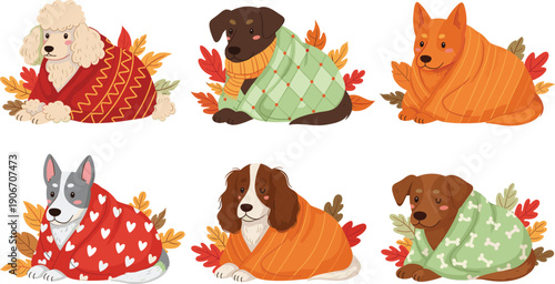 Flat vector illustration set of cute dogs wrapped in cozy blankets with autumn leaves including poodles labradors and terriers for winter season.