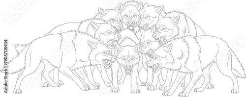 Ferocious pack of snarling wolves gathered closely together for an intense confrontation or display of dominance in detailed line art