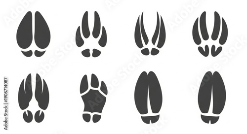 Collection of Various Animal Footprints and Tracks.