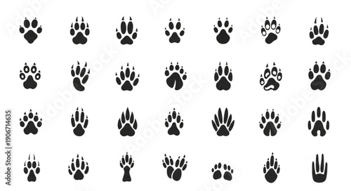 Collection of Various Animal Paw Prints Icons.