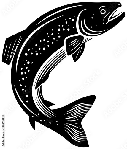 Black and white illustration of a whole trout fish leaping isolated on white background detailed fins and scales