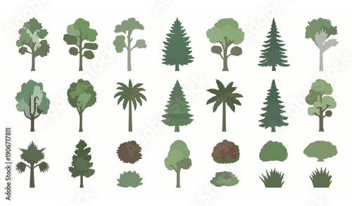Botanical Tree Elevation Vector Set with Landscape Architecture Symbols and Isolated Plant Icons on White Background