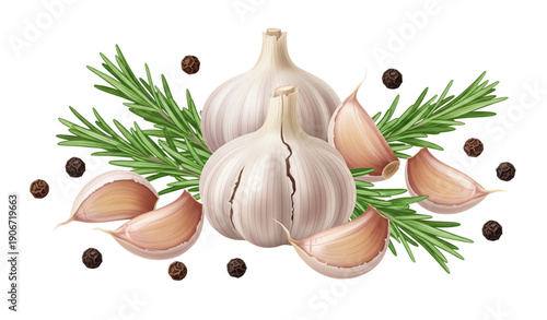 Garlic rosemary and black peppercorns vector illustration isolated on white