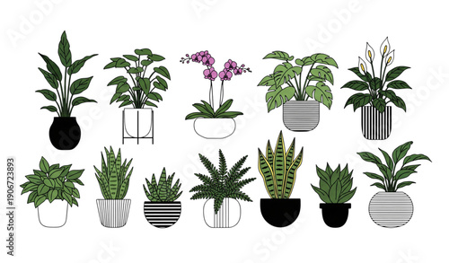 Decorative potted plant vector art for interior and lifestyle design