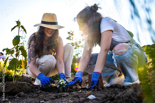 Women planting flowers and tree seedlings, working on environmental conservation