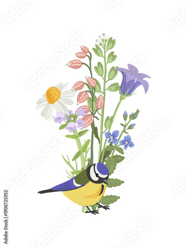 spring flowers and bird, vector drawing wild plants and blue tit at white background, floral composition, bellflower, germander speedwell, thyme and daisy, hand drawn botanical illustration