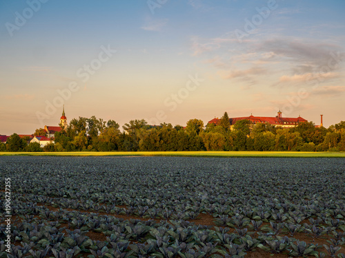 Blick auf Heidenfeld mit seiner Wallfahrtskirche und dem Kloster Heidenfeld, Gemeinde Röthlein,  Landkreis Schweinfurt, Unterfranken, Franken, Bayern, Deutschland