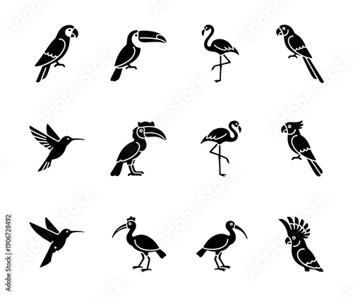 Bird simplified silhouette icons set