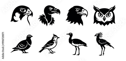 Bird silhouette and outline illustrations set