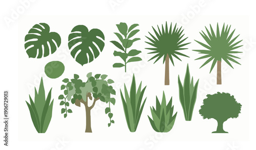 Stylized Tropical and House Plant Vector Icons Collection with Monstera Palm and Pothos