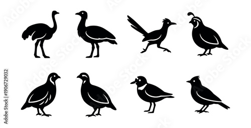 Bird Silhouettes Set in Minimalist Style