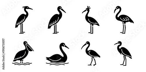 Bird species silhouette icons set