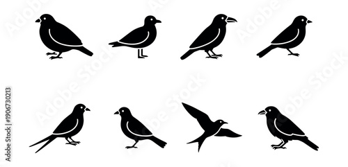 Bird Silhouettes Set