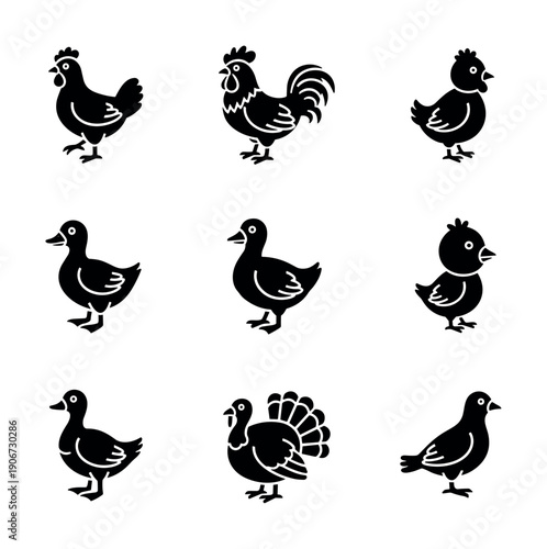 Poultry and Birds Silhouettes Grid