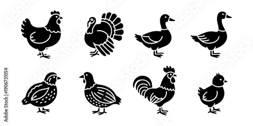 Bird Silhouettes Set