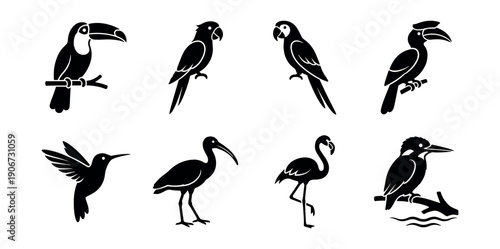Bird silhouette icons set