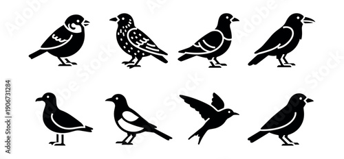 Bird species minimalist silhouette set