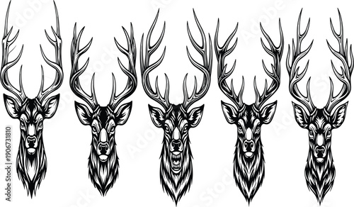 Intricate black and white deer head illustrations, detailed antlers, roaring stag artwork, tattoo style animal design, wildlife vector drawing