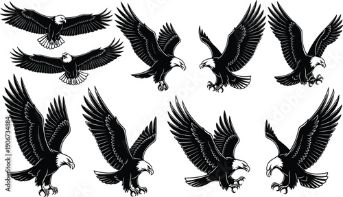 Stylized black and white bald eagle illustrations, dynamic bird flight vector artwork, wildlife predator design collection, patriotic symbol motif, nature drawing set