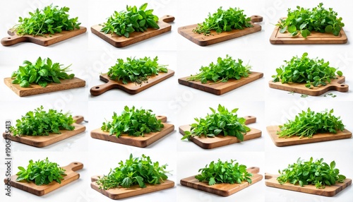 Collection of A close-up shot of a wooden cutting board topped with fresh herbs.