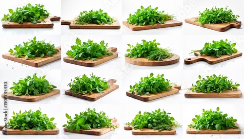 Collection of A wooden cutting board topped with a pile of green herbs.