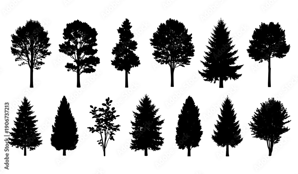 Fototapeta premium Black tree silhouettes vector set plant and nature elements