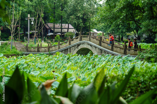 Fotografía tourist in People's Park, built in 1911 as Shaocheng Park, Chengdu,  Sichuan, Pe