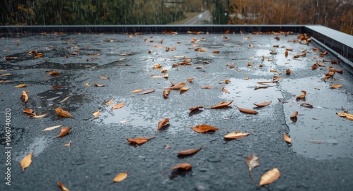 Flat roof surface retaining water and leaf litter after rain indicating drainage and roof settling concerns