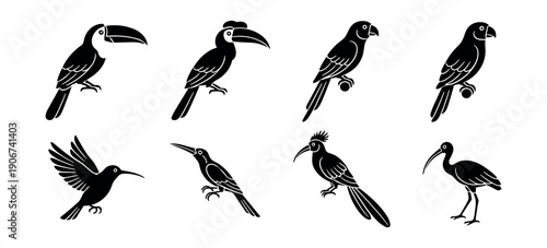 Bird Silhouettes Minimalist Collection