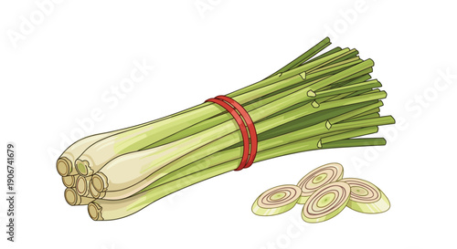 Bunch of fresh green lemongrass stalks tied with a red band and sliced circular pieces showing interior rings on white background.