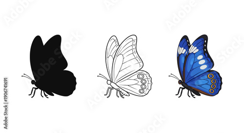 Set of three distinct butterfly graphics showcasing a silhouette a detailed outline and a fully colored vibrant blue insect representation