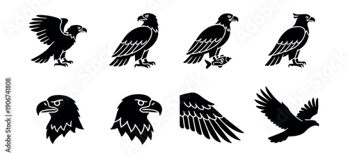 Eagle silhouette illustrations set