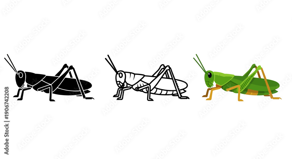 Fototapeta premium Collection of three stylized grasshopper icons featuring a detailed color illustration a black silhouette and a simple outline version for design use
