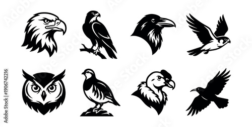 Bird species black and white line illustrations set