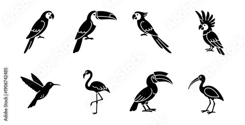 Bird silhouette collection icon set