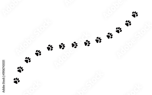 猫・ねこの足跡のライン　白黒の肉球のイラスト