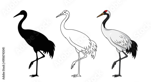 Collection of three stylized Japanese red-crowned crane illustrations showcasing silhouette outline and full color vector art standing elegantly on one leg
