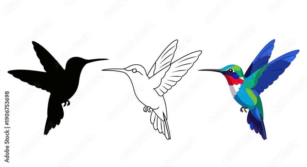 Fototapeta premium Vector set displaying a colorful hummingbird silhouette line art and detailed illustration ideal for nature and wildlife design projects