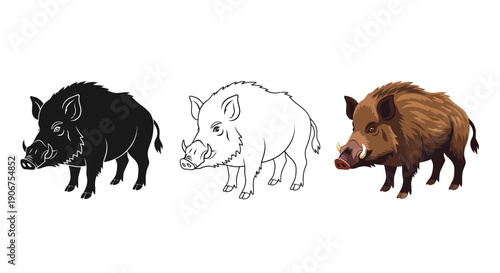 Collection of three distinct wild boar illustrations including a silhouette a simple outline and a full color detailed graphic representation