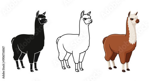 Cartoon llama illustration set presenting a stylized animal in black silhouette outline drawing and full color flat design options perfect for educational materials or farm concepts
