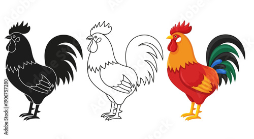 Collection of three distinct rooster illustrations showing solid silhouette outline drawing and full color cartoon style variations for design projects
