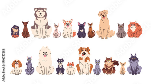 Set of different breeds of cats and dogs. Cute sitting kitties and puppies. Funny kittens and pups of Sphynx, Bulldog, Corgi. Happy pets, domestic animals. Flat isolated vector illustrations on white