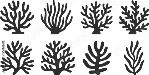 Black coral silhouettes collection, marine reef seaweed shapes isolated on white background, underwater ocean botanical set for logo, tattoo, clipart, vector design.