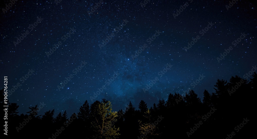 Naklejka premium Beautiful stars shining in the clear night sky over a dense forest silhouette